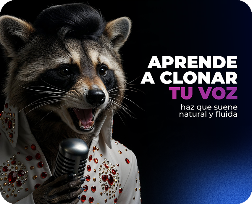 Capa 1